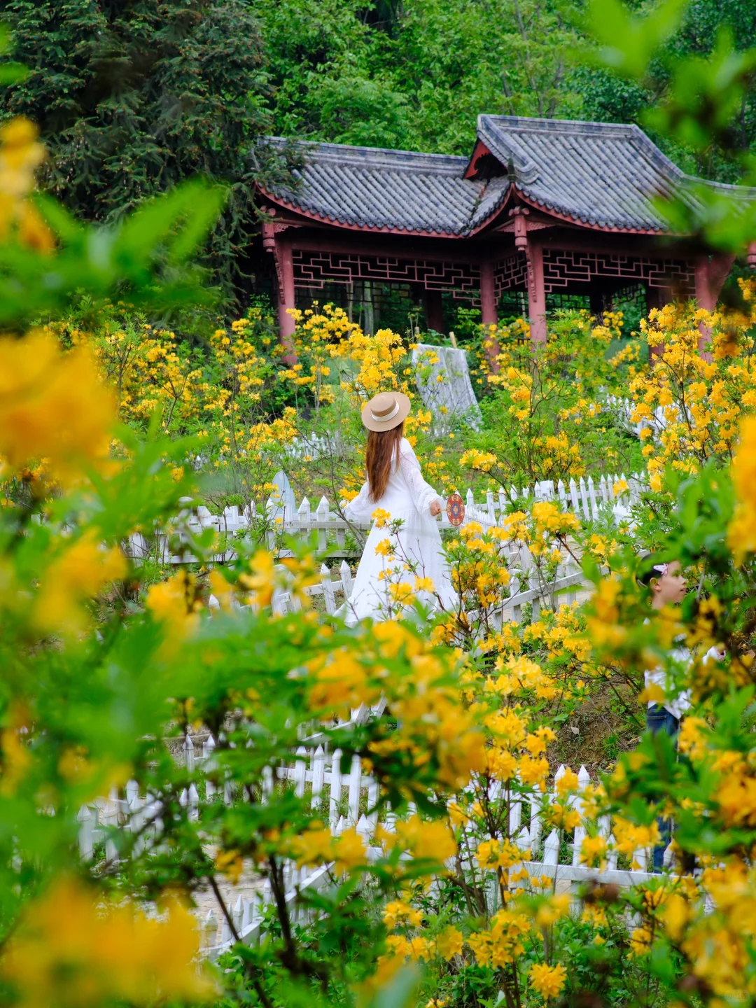 成都周边1h!!现实版《国色芳华》好震撼!!