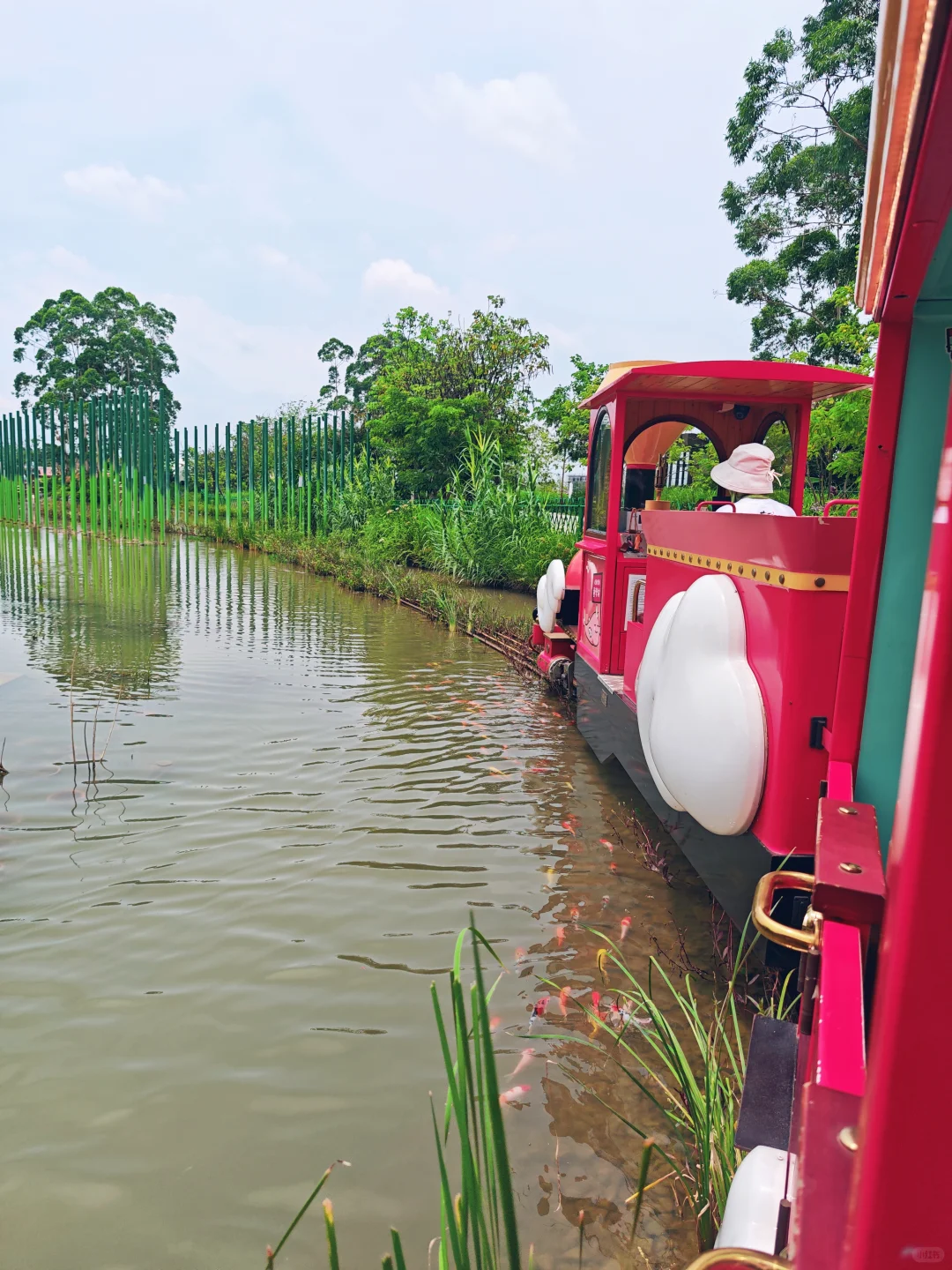 端午水乡游,又到了赏荷的季节