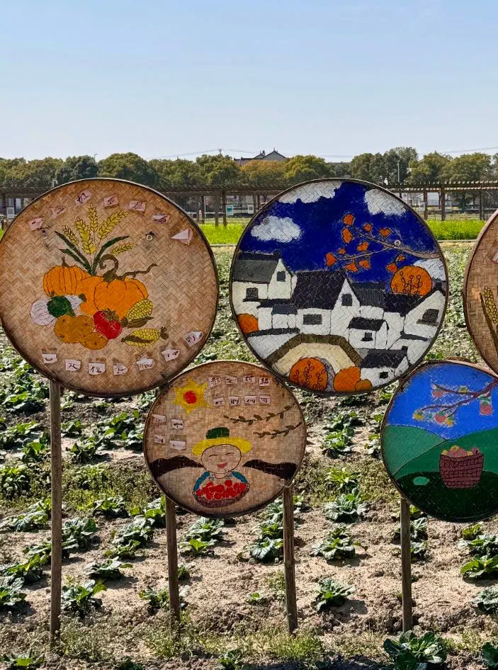 江浙沪居然藏着这么绝的小众地！！