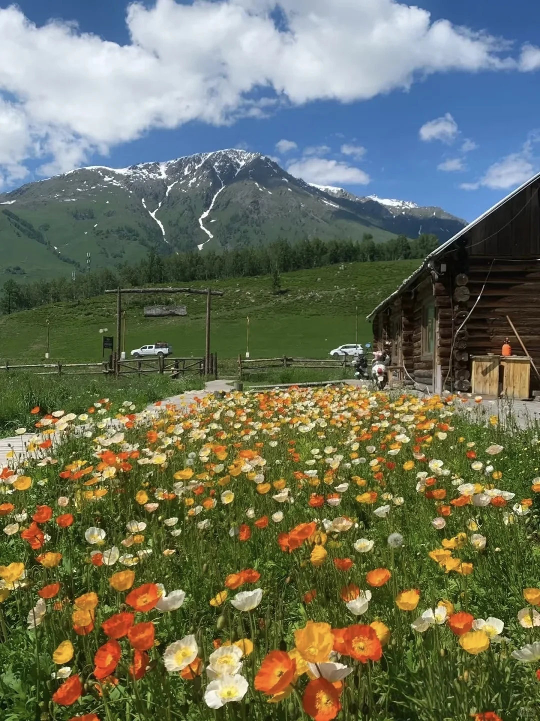 中国新疆喀纳斯+伊犁，神的自留地