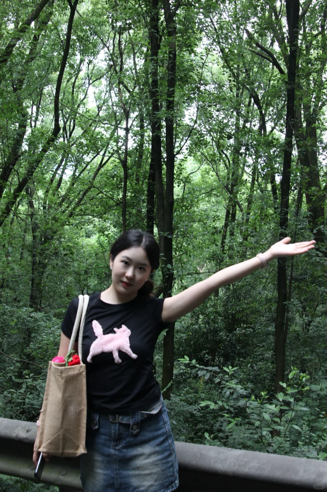 宜宾/翠屏山公园/开放式索道