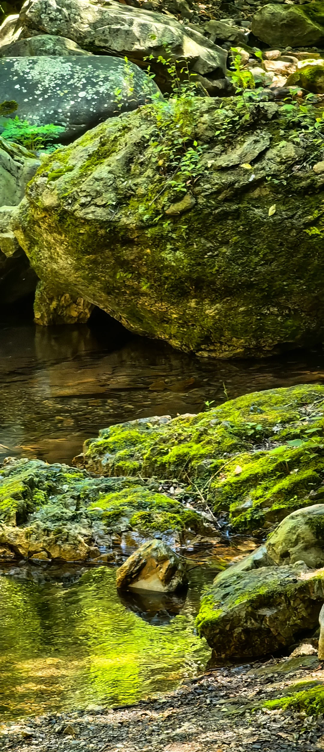 🍉京津冀夏日避暑玩水！九龙潭