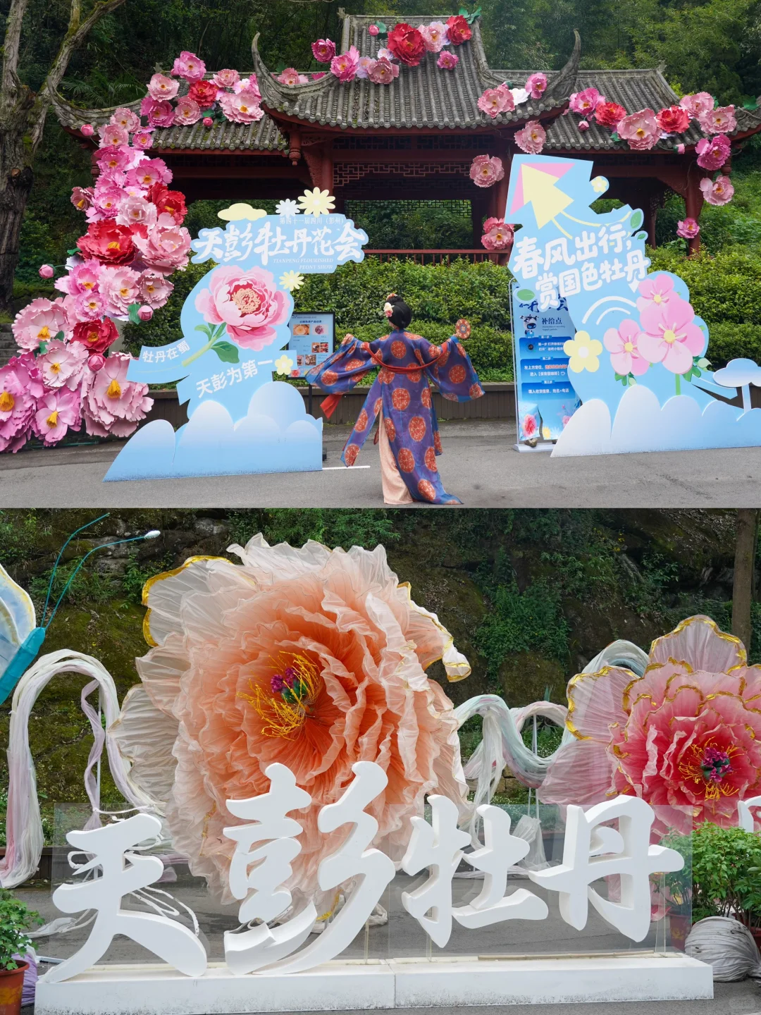 成都周边1h!!现实版《国色芳华》好震撼!!