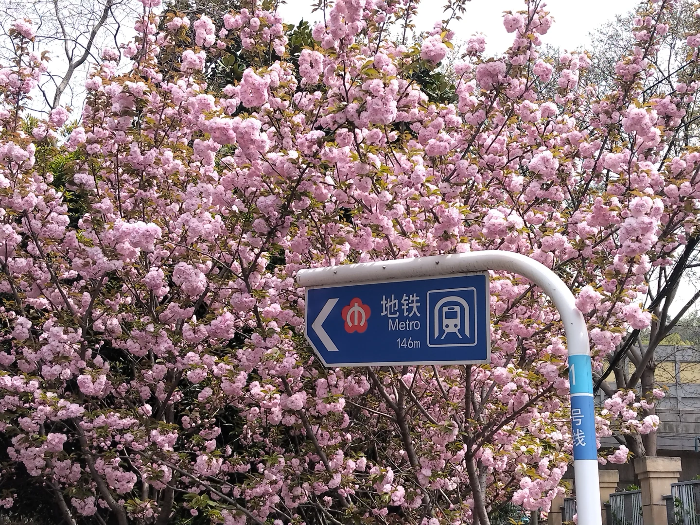 南京三天两夜旅游攻略——不绕路，详细路线