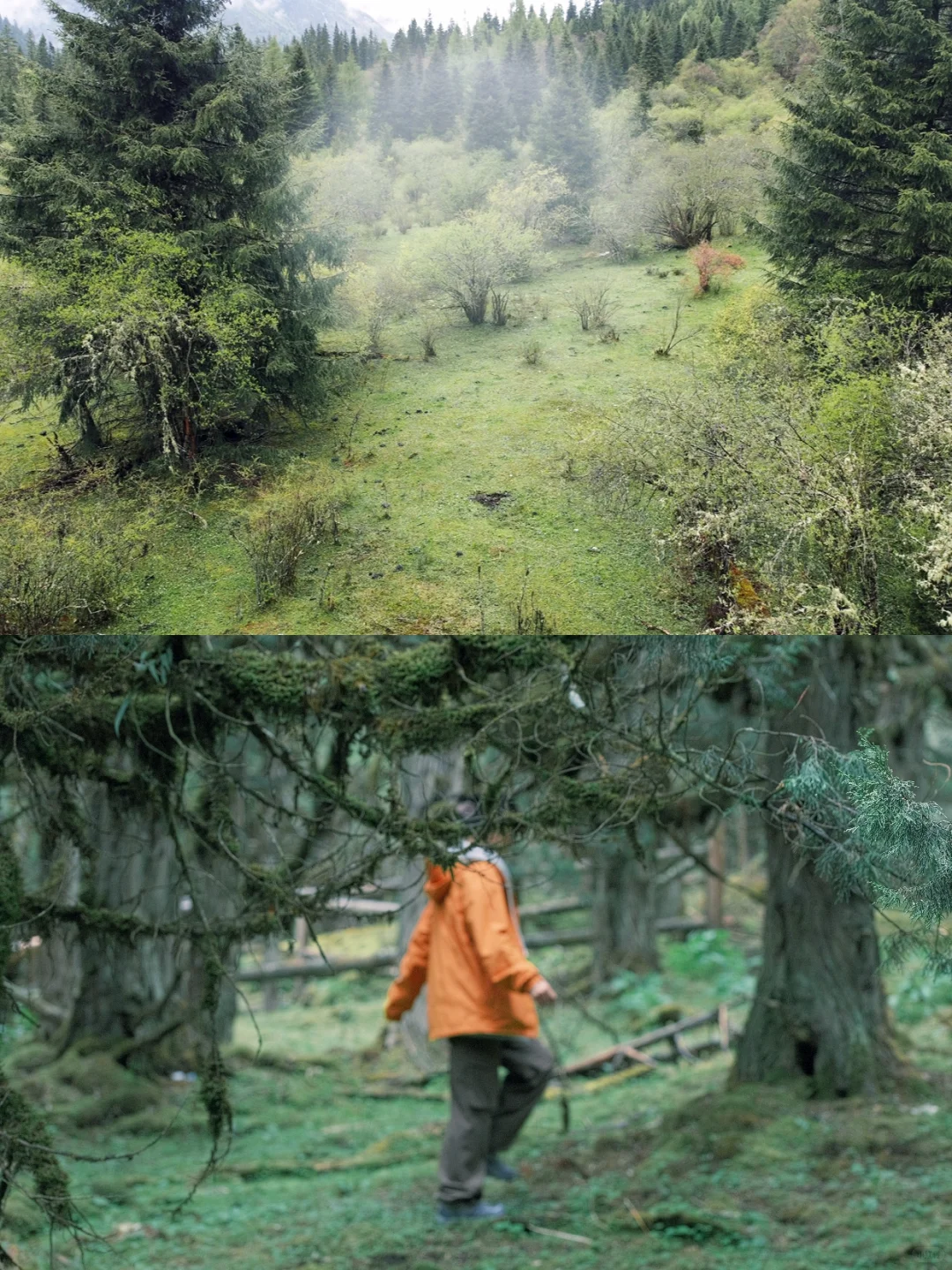 假期太短？川西特种兵4天玩透熊猫+雪山！