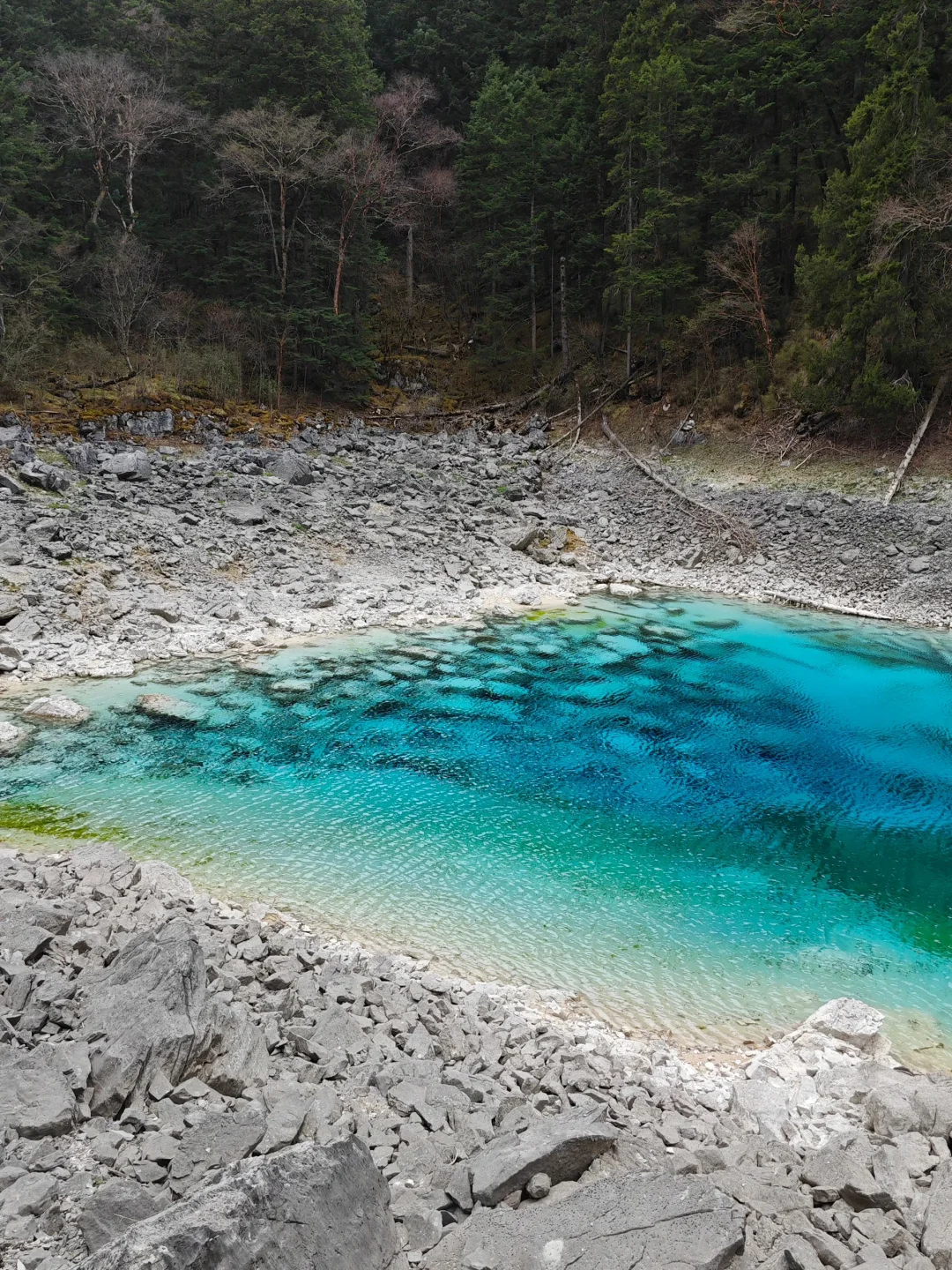 关于我花550💰报老年团去九寨沟的测评…绝了