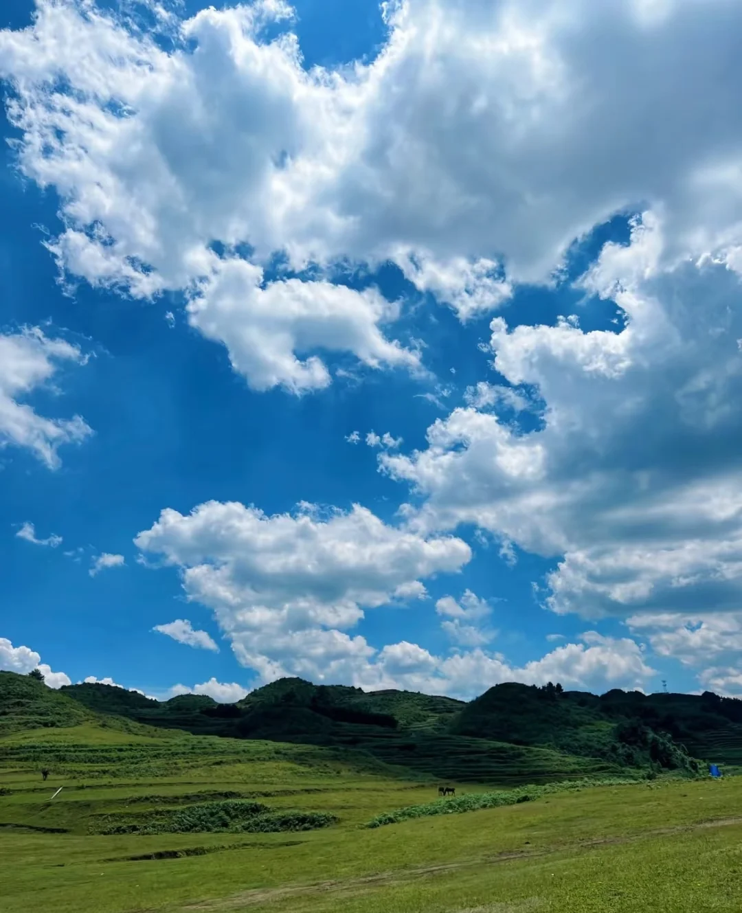 在贵州毕节,藏着一片媲美北疆的治愈天堂