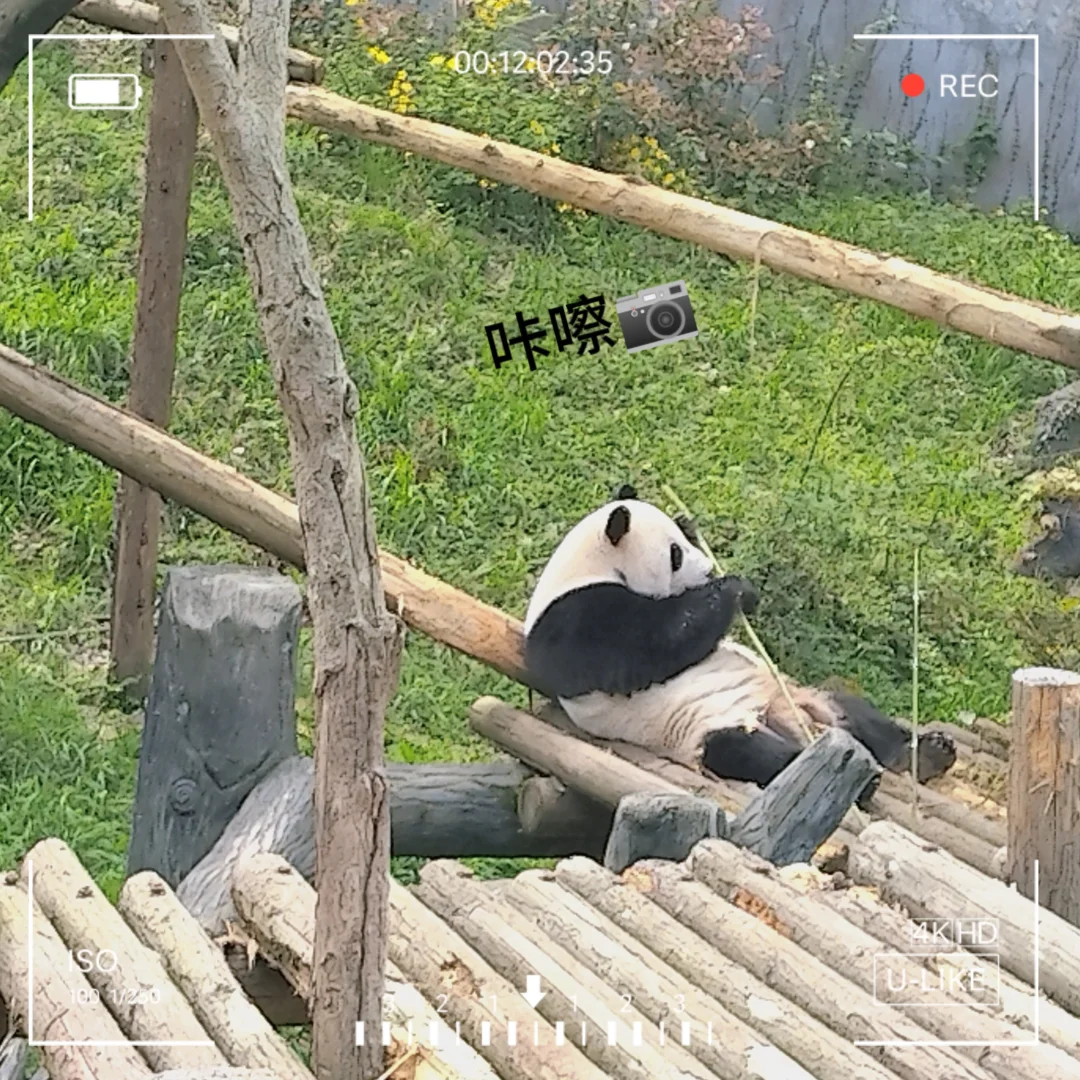 南京三天两夜旅游攻略——不绕路，详细路线