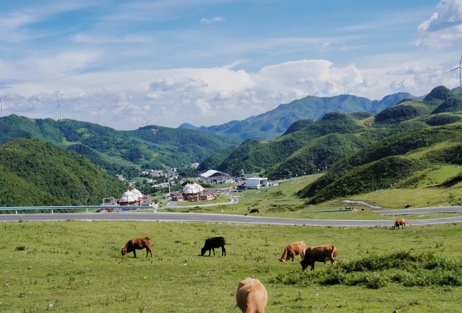 在贵州毕节,藏着一片媲美北疆的治愈天堂