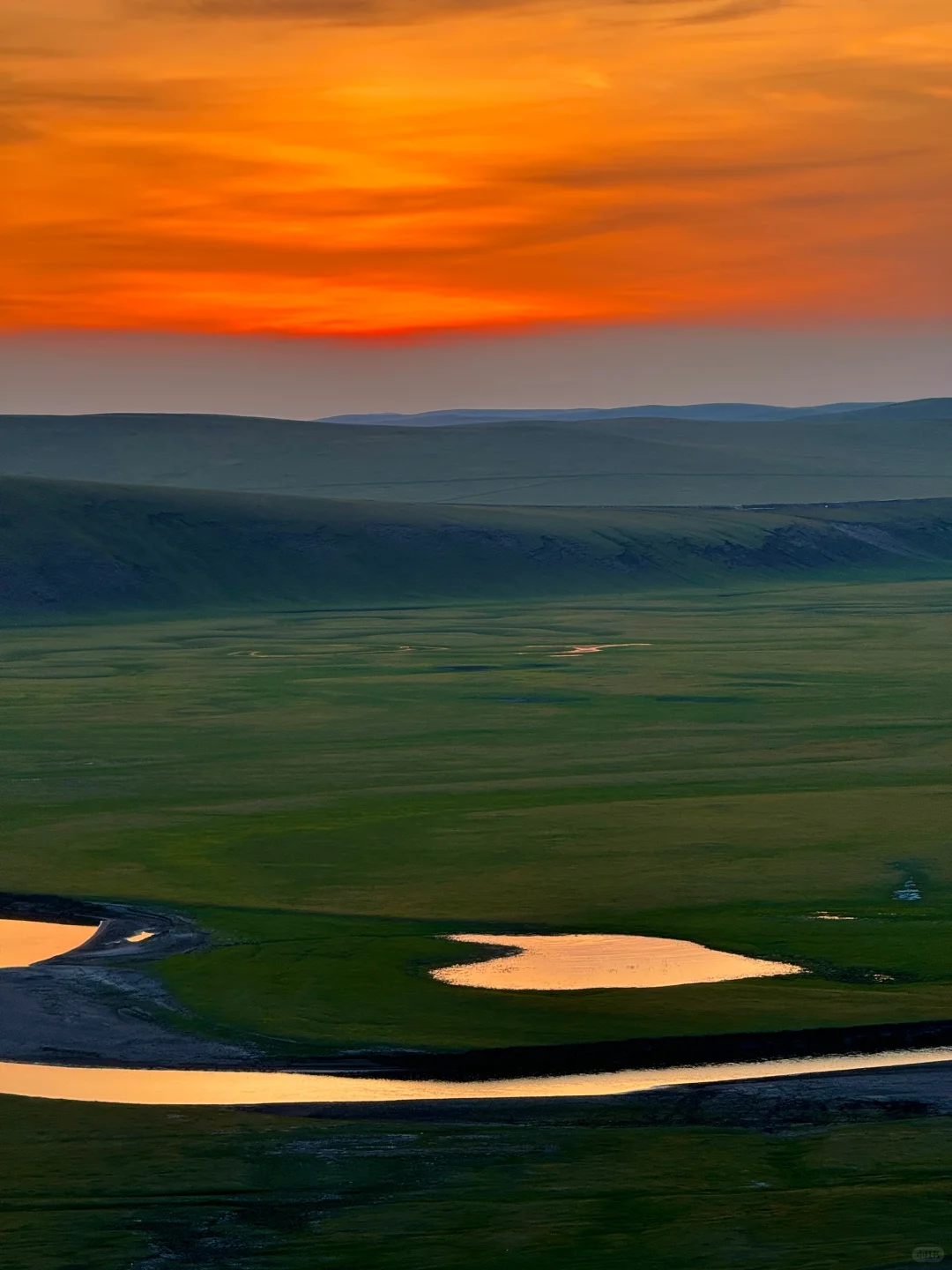 live风吹草低见牛羊，此刻我被治愈了~
