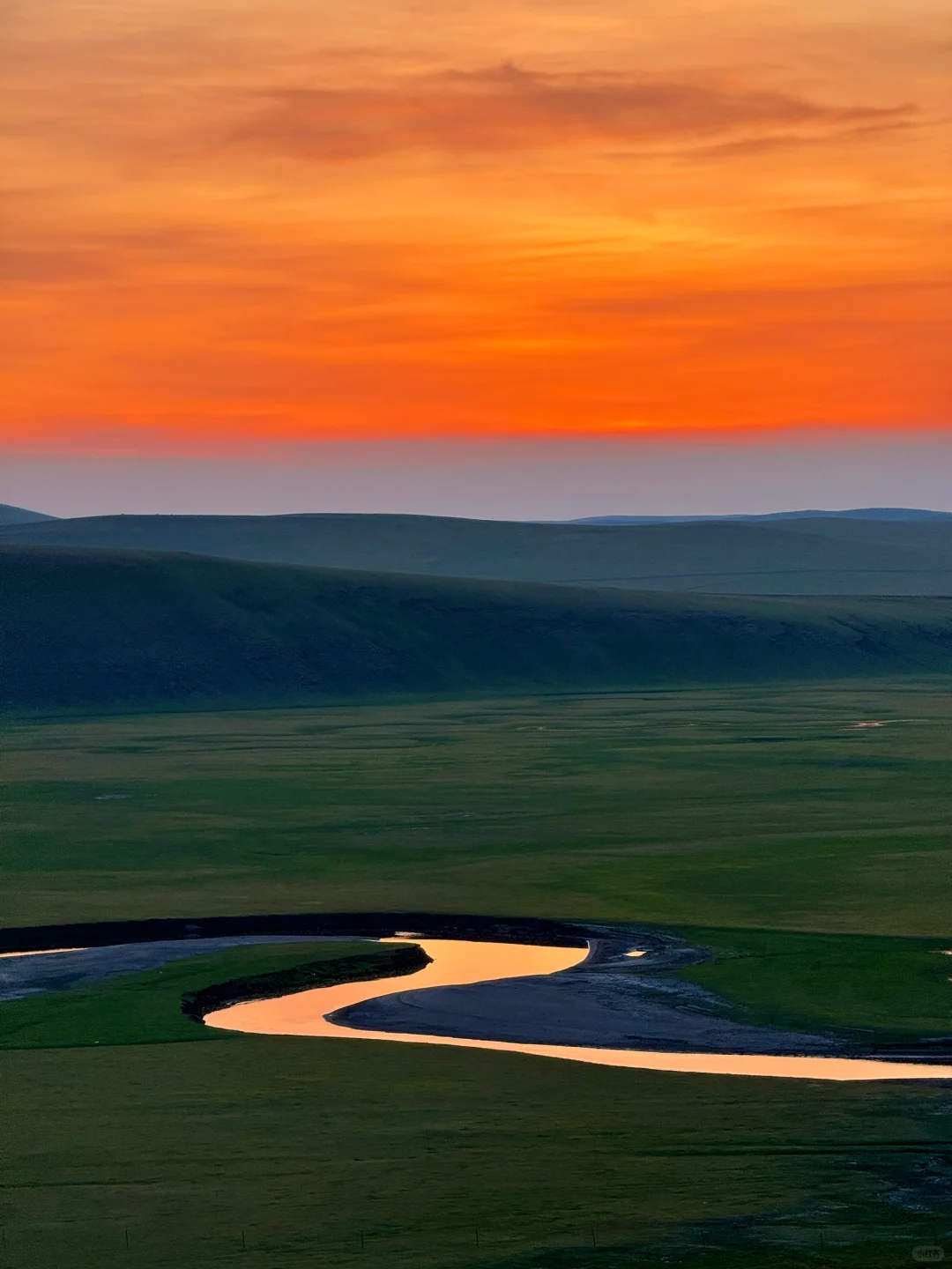 live风吹草低见牛羊，此刻我被治愈了~