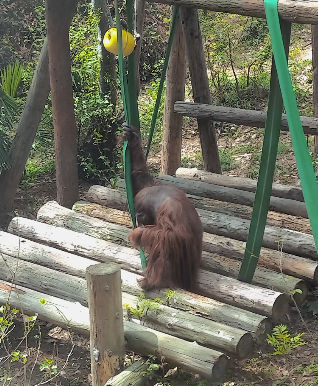 南京三天两夜旅游攻略——不绕路，详细路线