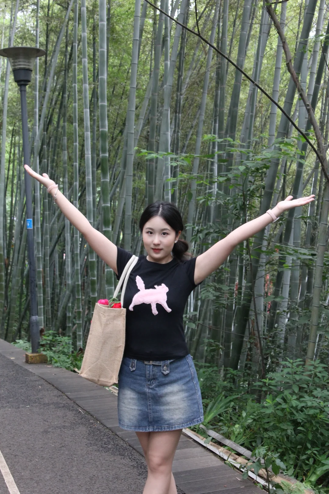 宜宾/翠屏山公园/开放式索道