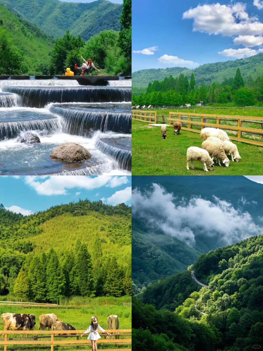 江浙沪周边游💖 6-7月必打卡的8大神仙地