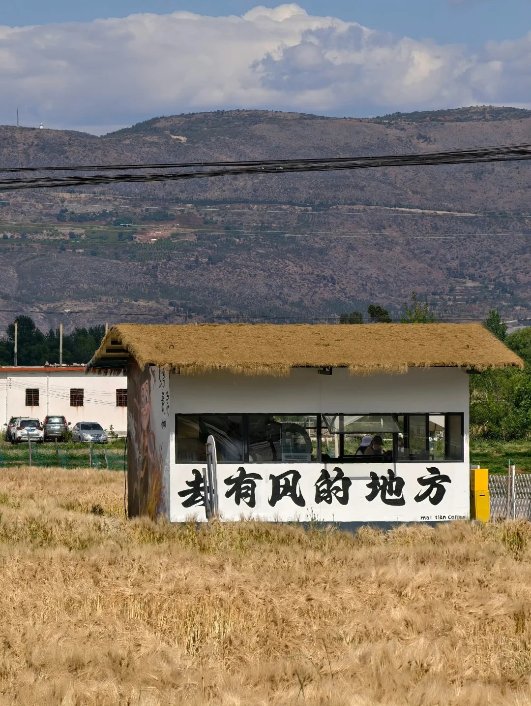 03女大📍大理/两日游不走回头路线攻略‼️