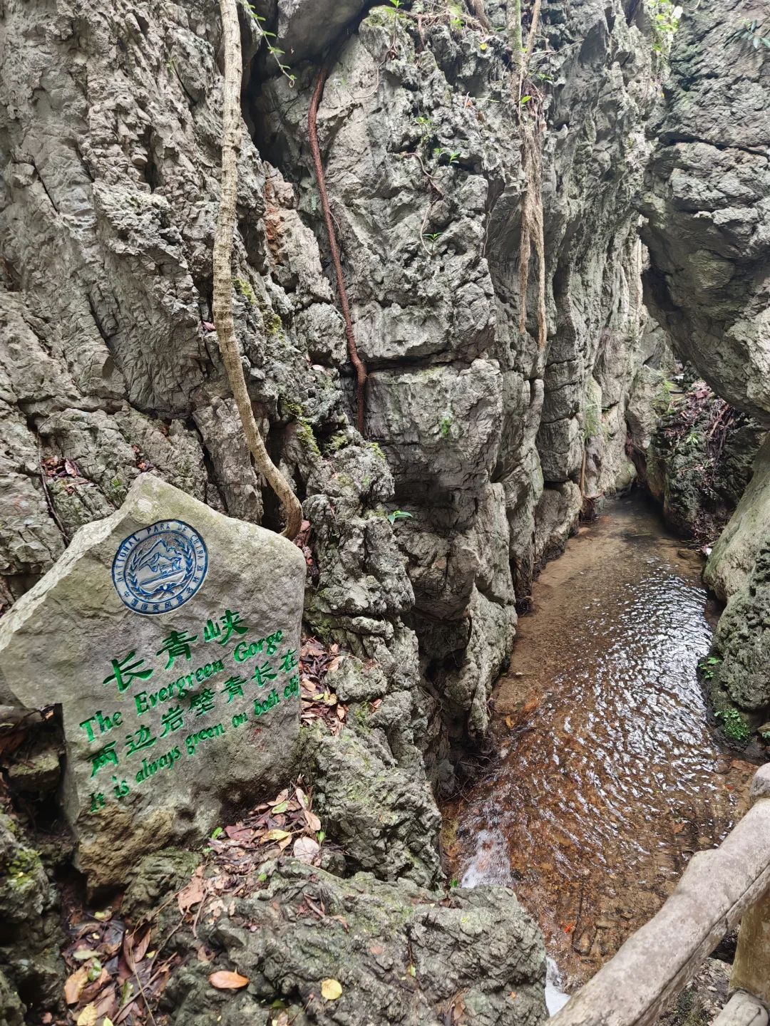 天星桥景区值得