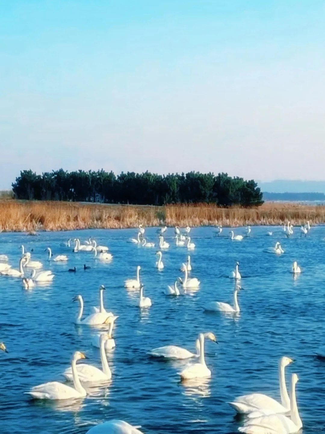 跟风最成功的一次，威海海景美到失语🌊