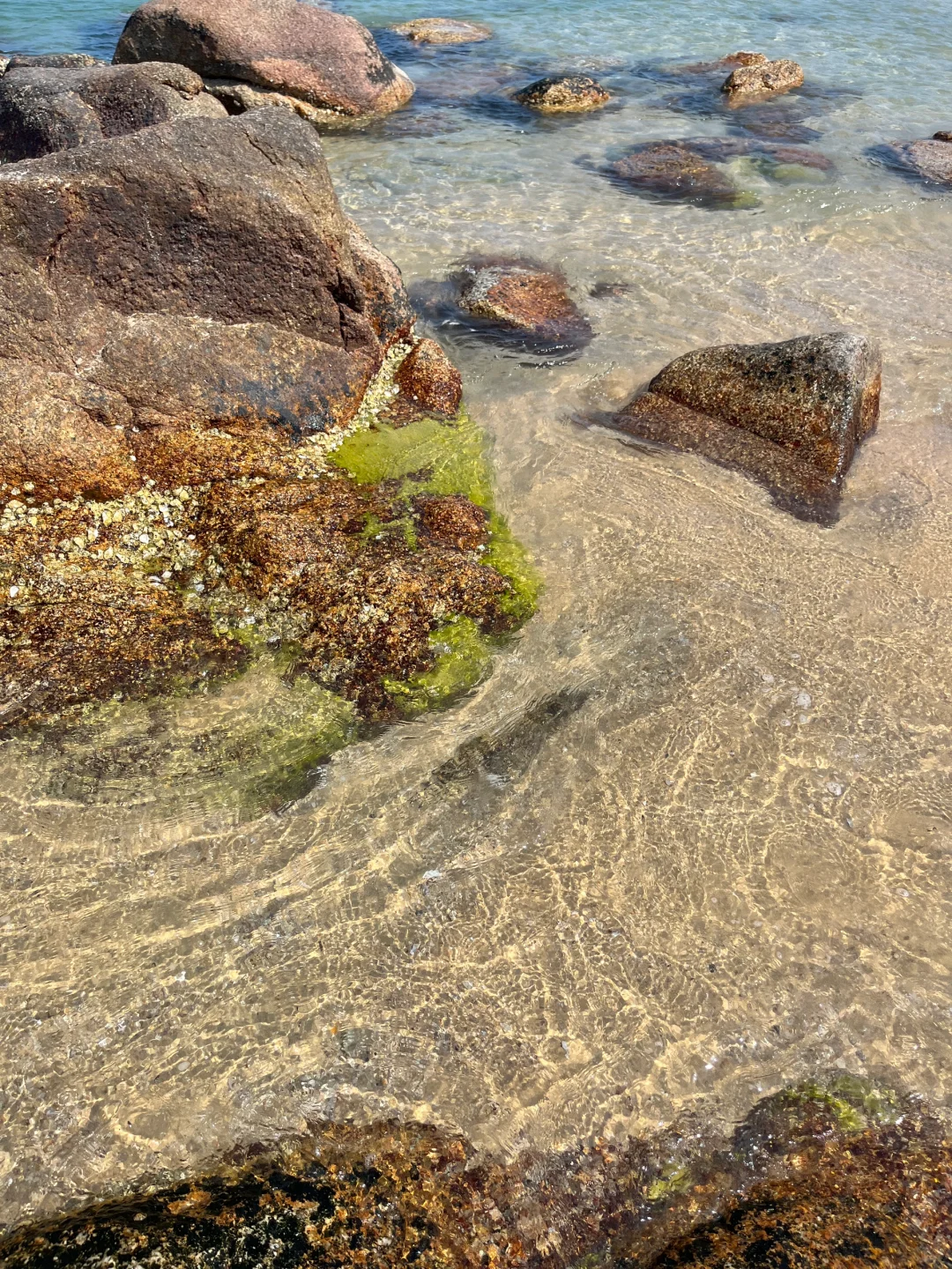 5.18号汕尾遭罪已回😭再也不听小红书