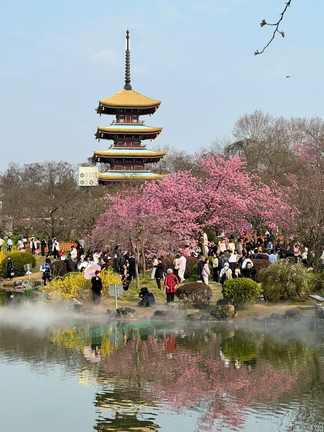 🥹武汉三日游回来了，只想说些大实话！听劝！！