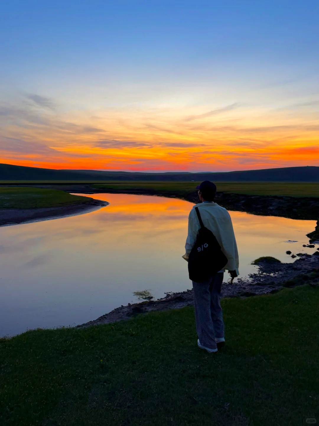 live风吹草低见牛羊，此刻我被治愈了~