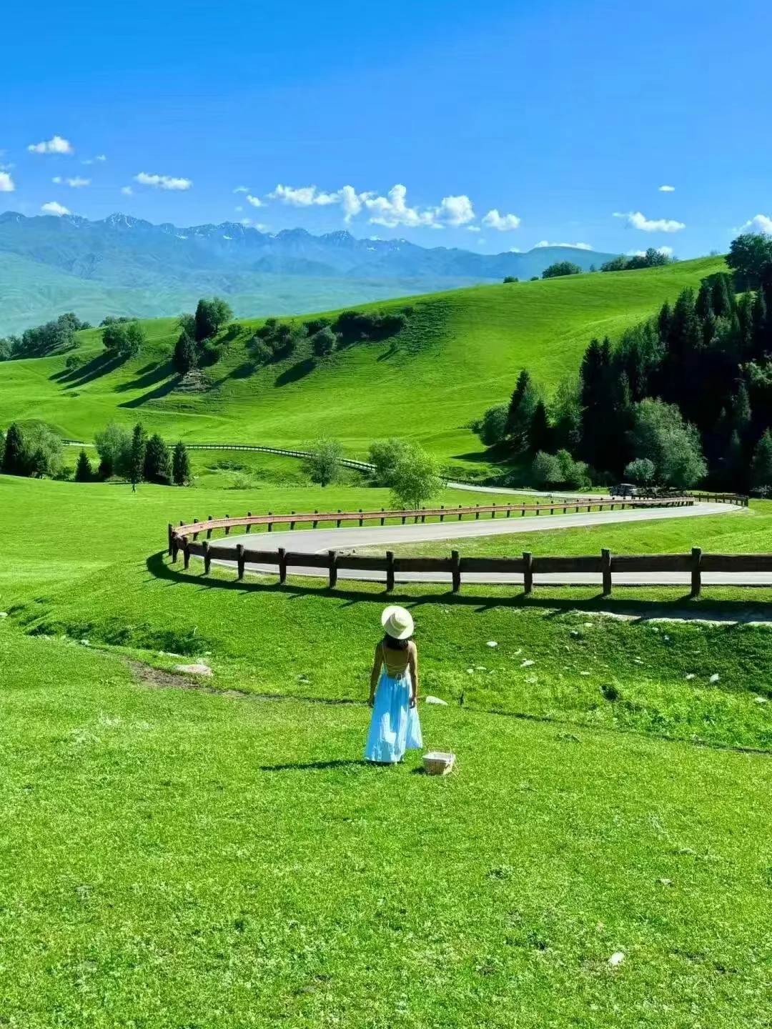 新疆旅游最全保姆级攻略⭐️暑假旅行必看