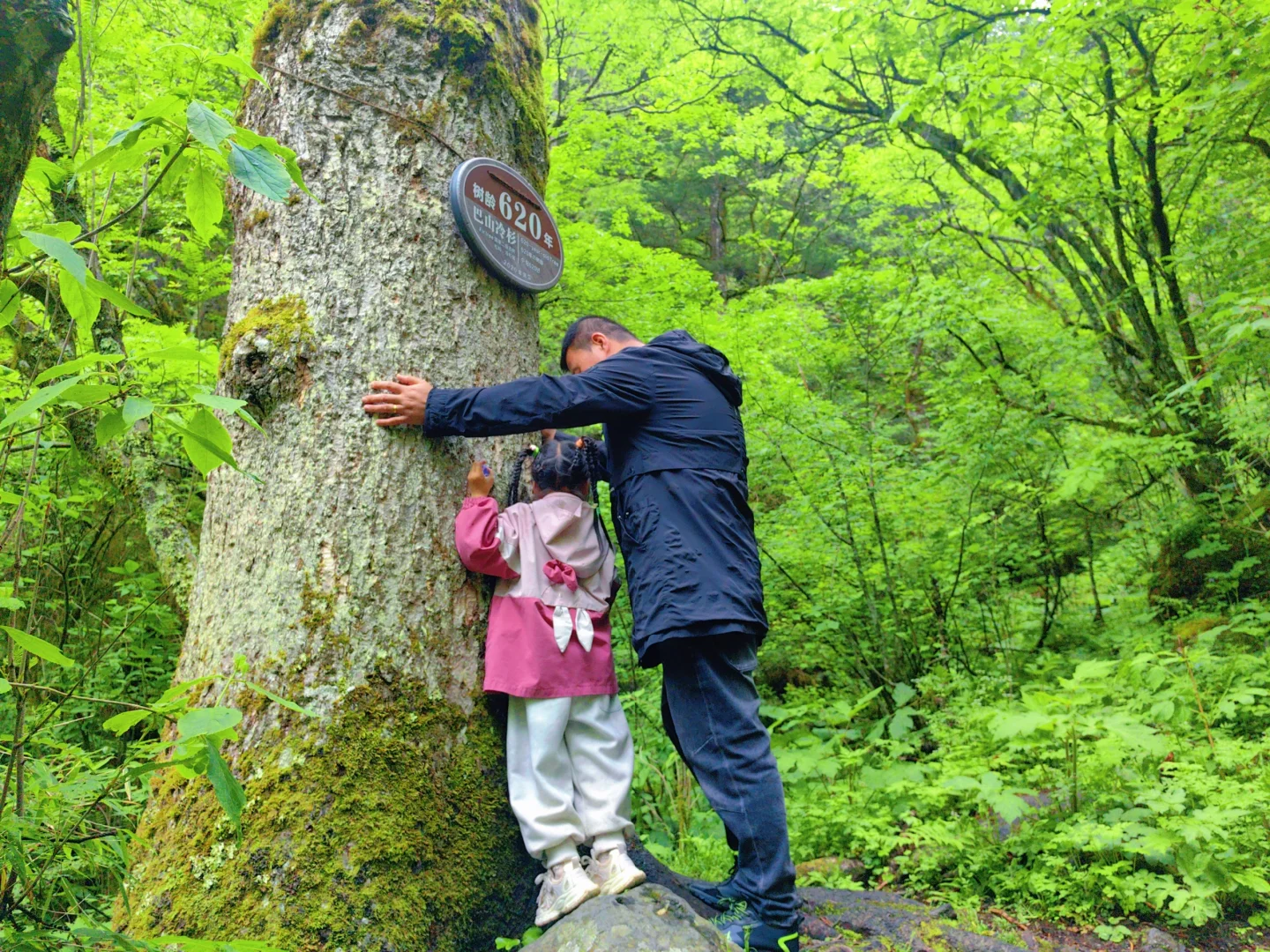 【端午假期西安自驾神农架四天三晚】3
