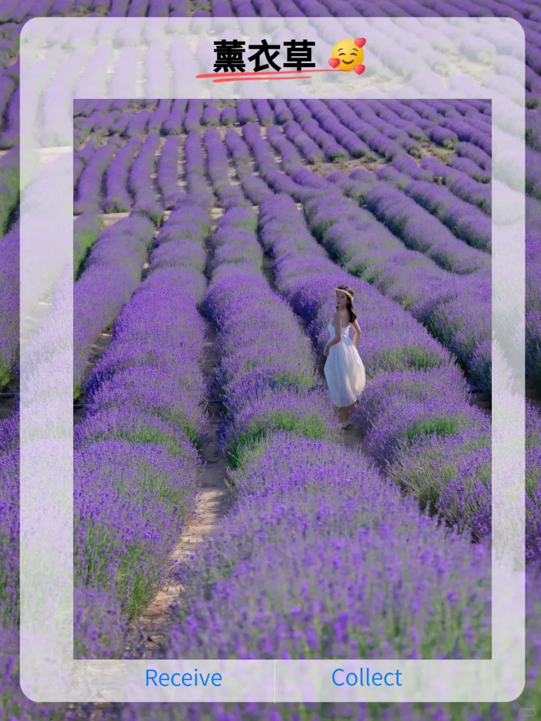 伊犁旅游精品小包团❗️想怎么玩就怎么玩