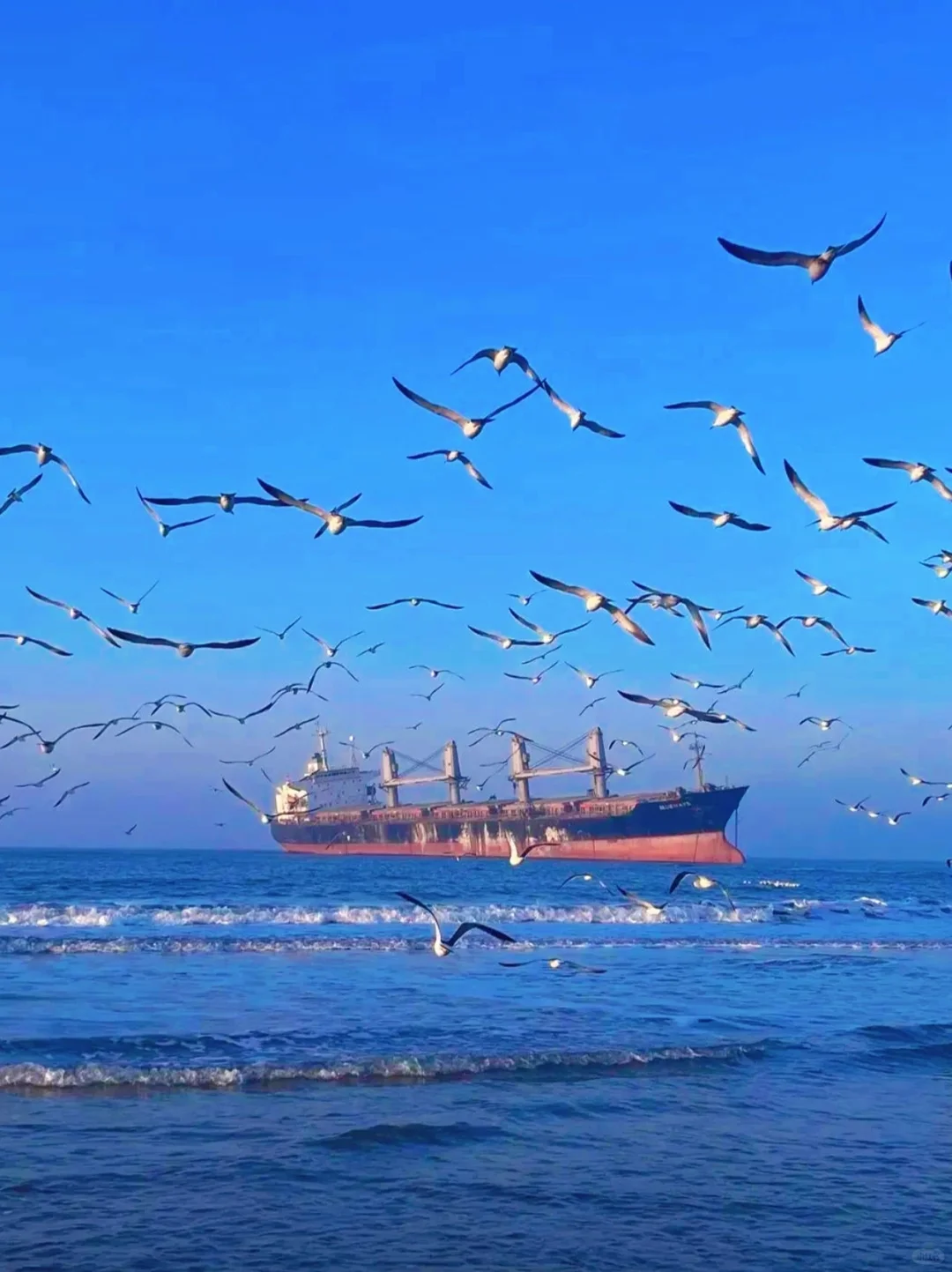 跟风最成功的一次，威海海景美到失语🌊