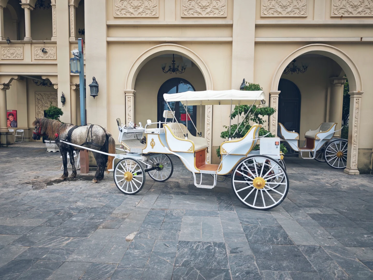 端午水乡游,又到了赏荷的季节