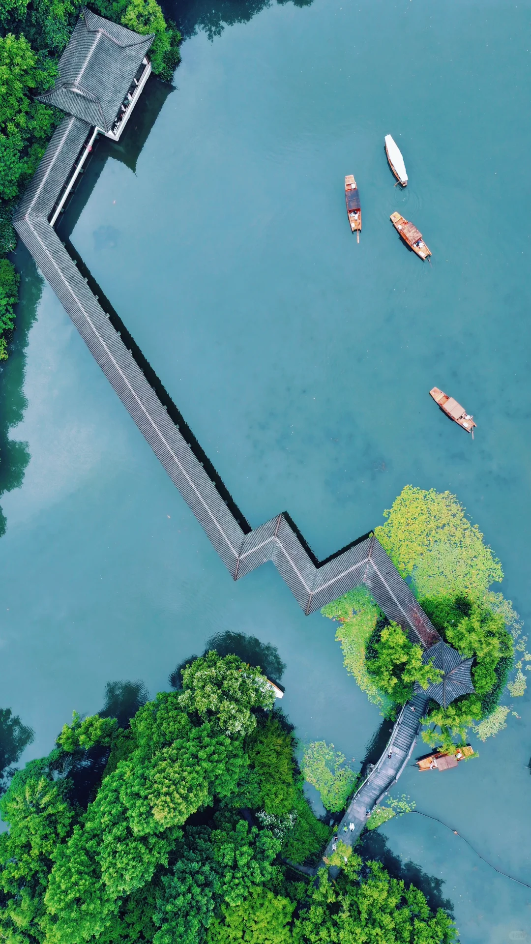 Summer & Autumn 浴鹄湾