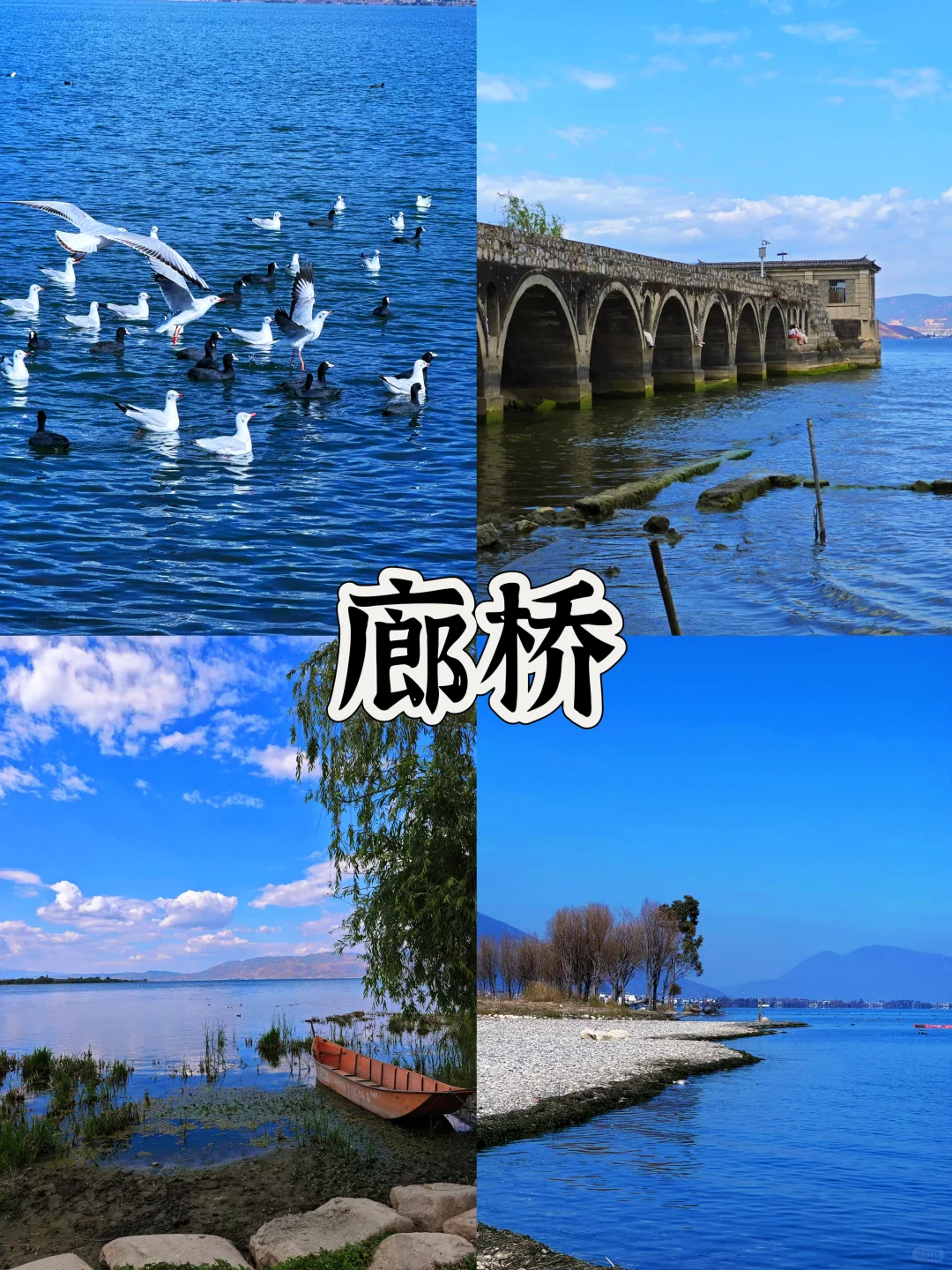 03女大📍大理/两日游不走回头路线攻略‼️