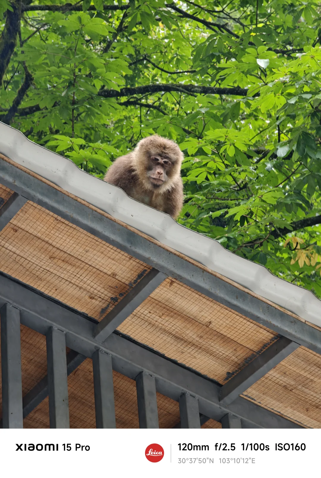 成都/大邑/大飞水景区亲子徒步