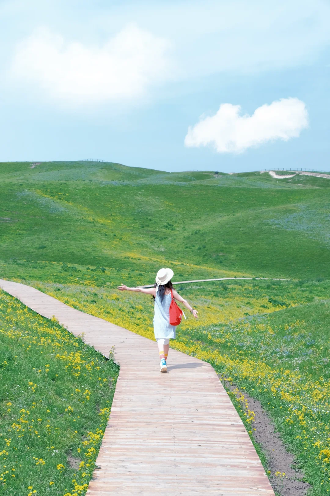 自驾新疆|拍到人生摆烂又有生命力的照片