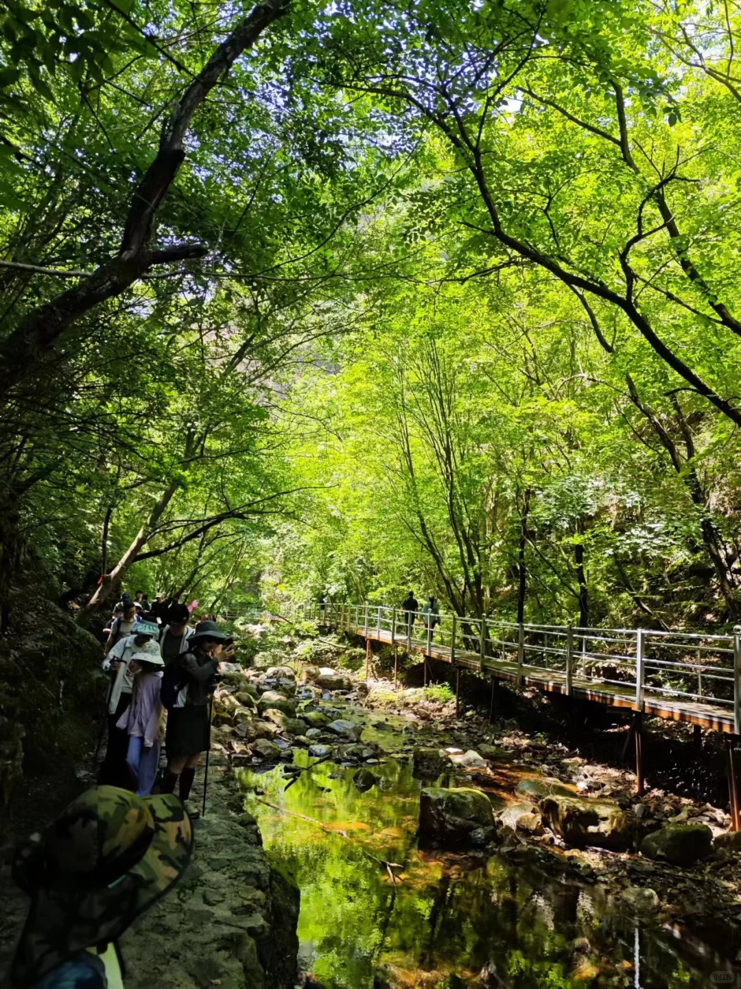 🍉京津冀夏日避暑玩水！九龙潭