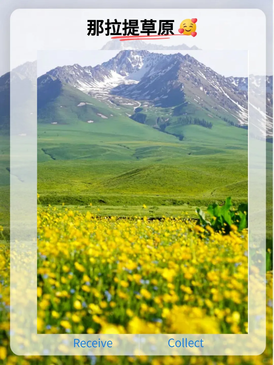 伊犁旅游精品小包团❗️想怎么玩就怎么玩