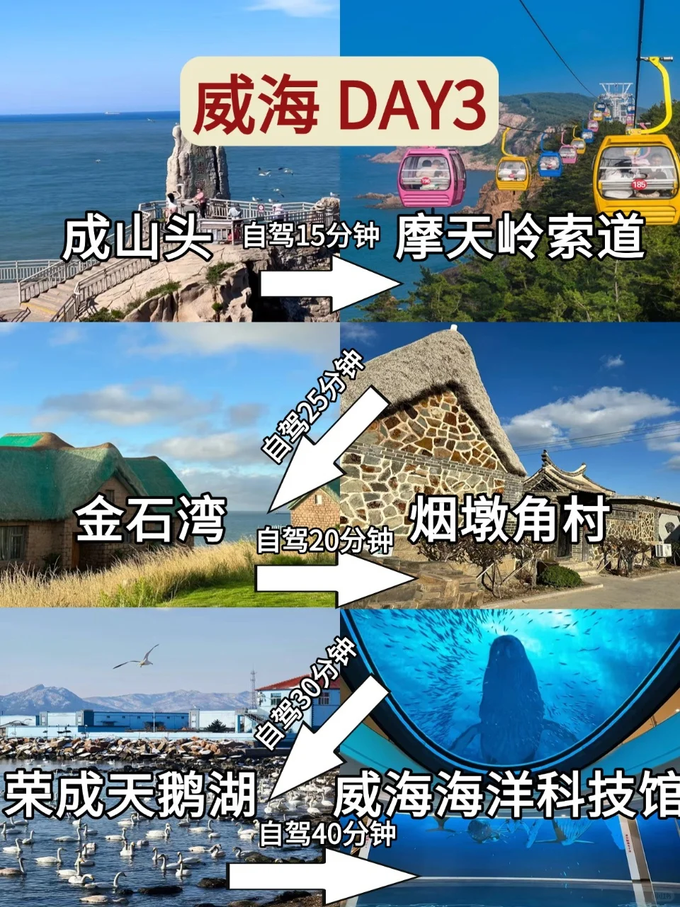 威海已回（已被宰）内容很脏，但很真实！！