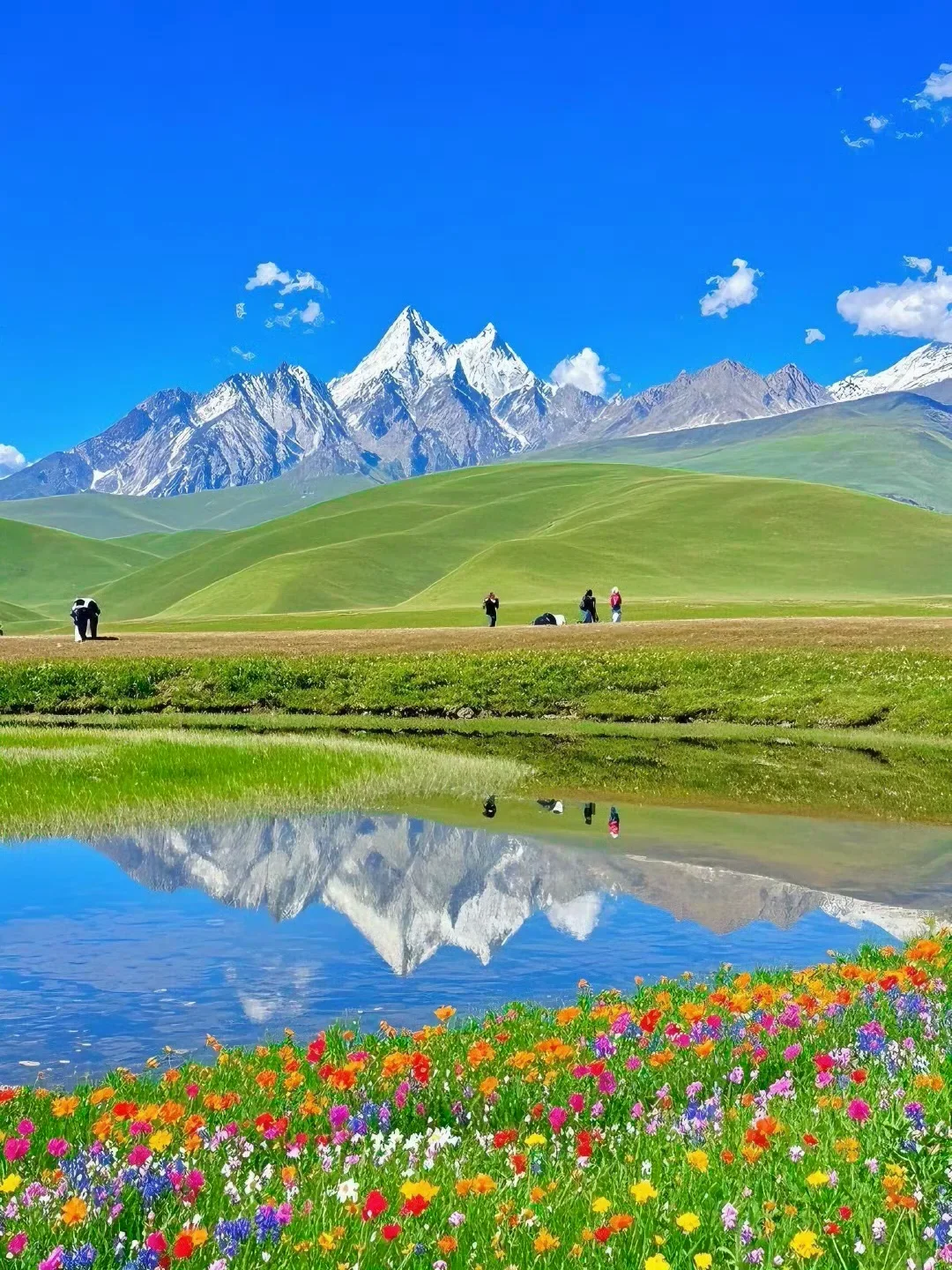 本以为瑞士很美了,直到我来到了夏天的川西