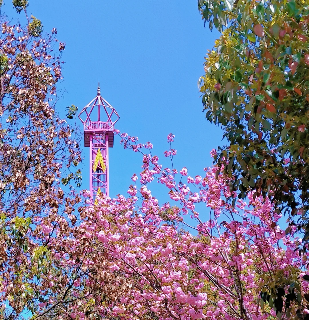 南京三天两夜旅游攻略——不绕路，详细路线