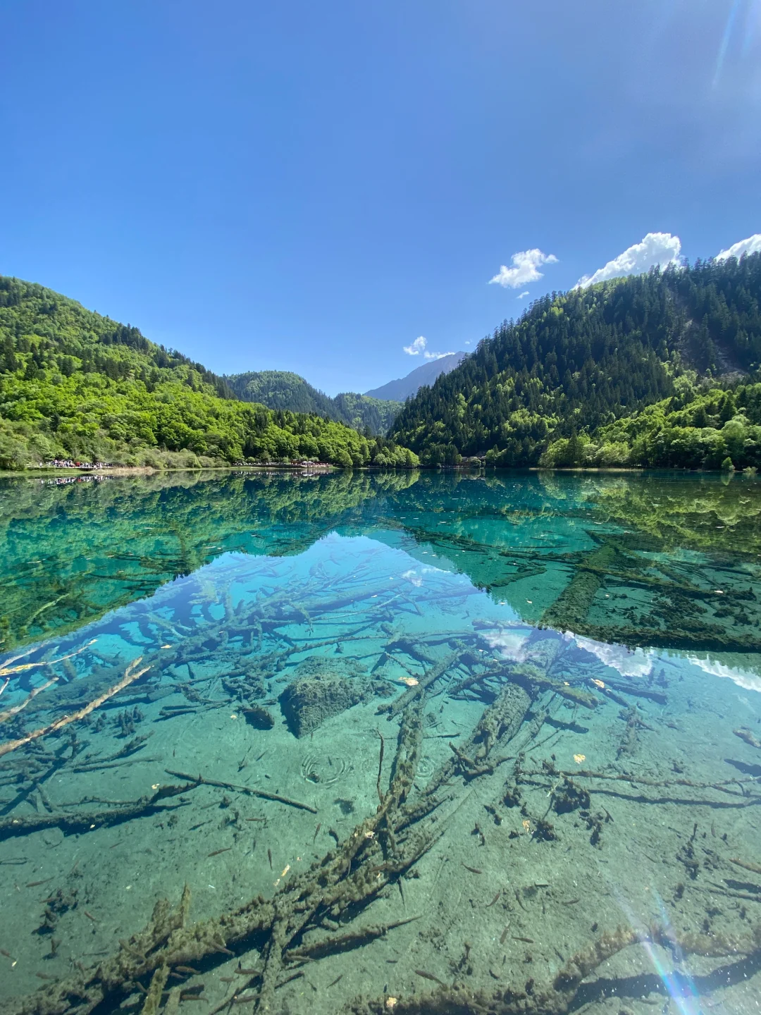 关于我花550💰报老年团去九寨沟的测评…绝了