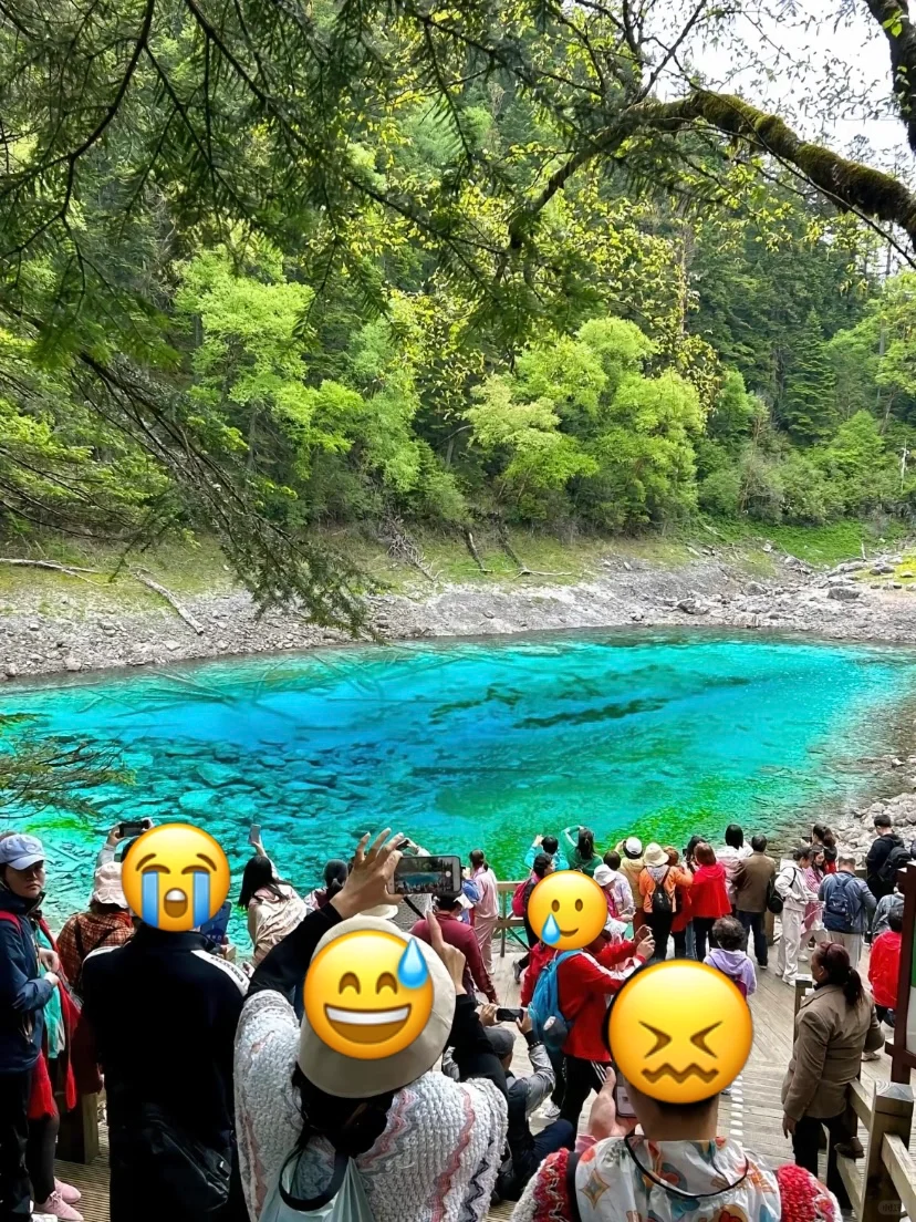 关于我花550💰报老年团去九寨沟的测评…绝了