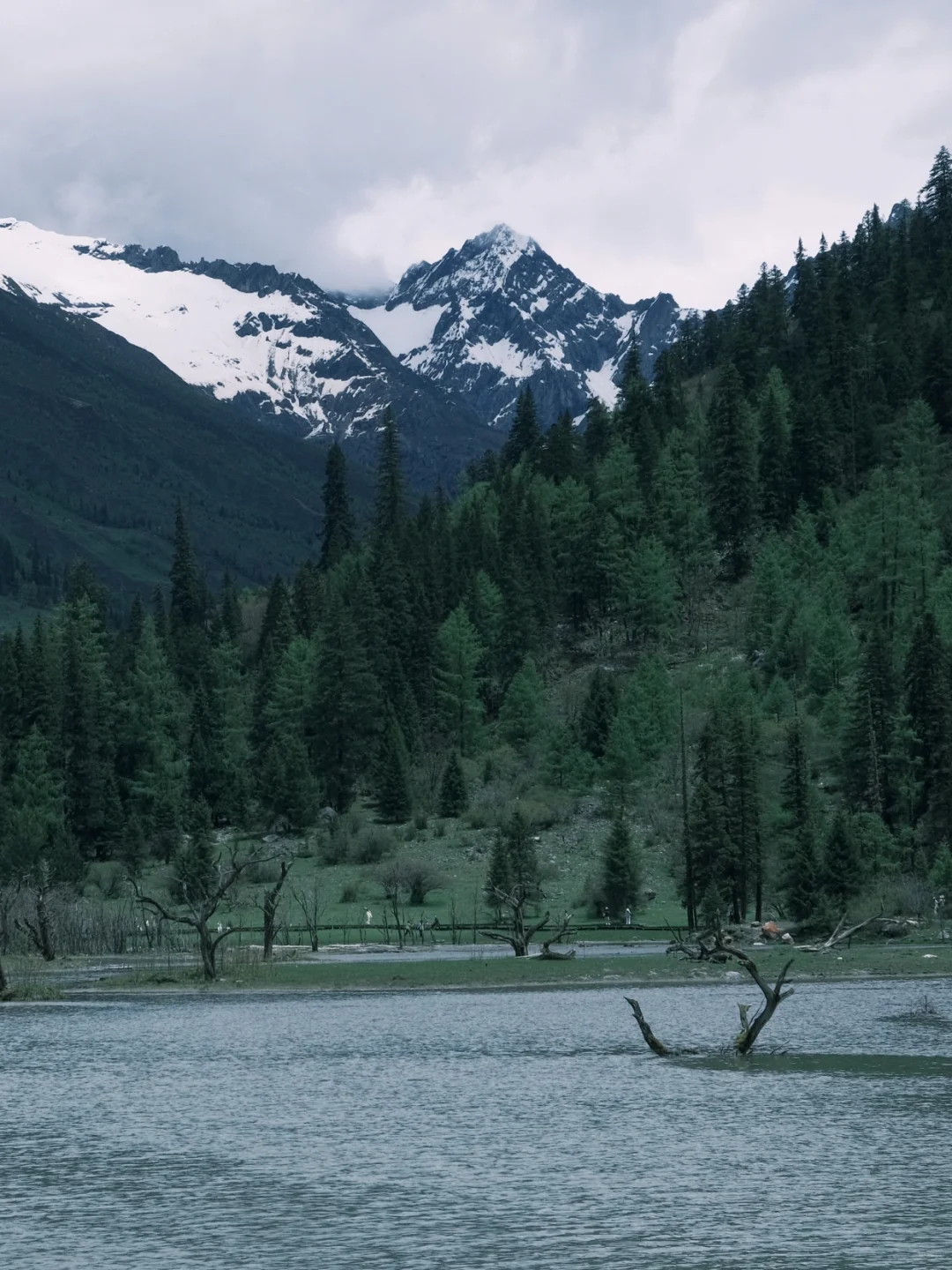 假期太短？川西特种兵4天玩透熊猫+雪山！