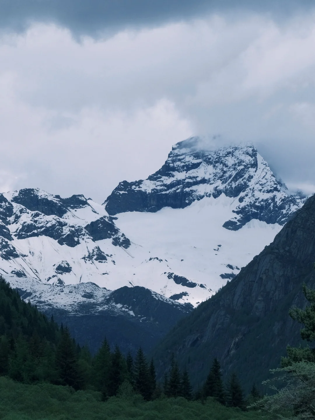 假期太短？川西特种兵4天玩透熊猫+雪山！
