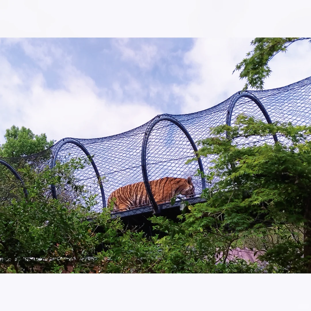 南京三天两夜旅游攻略——不绕路，详细路线