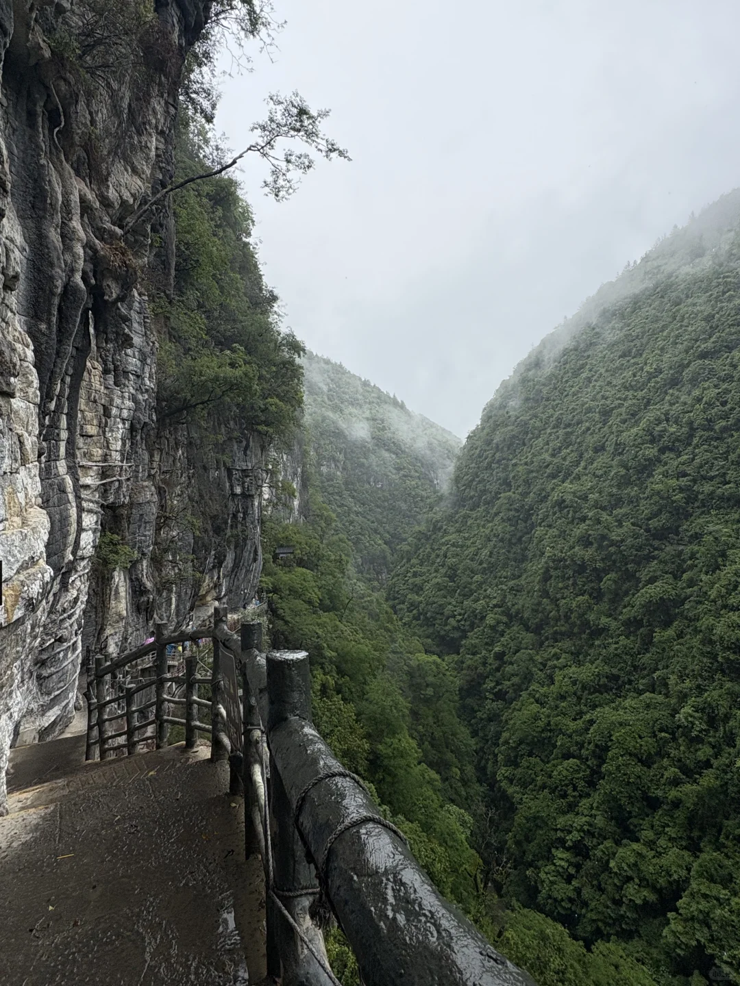 我也是出息了 当了一回警嫂混上了家属票