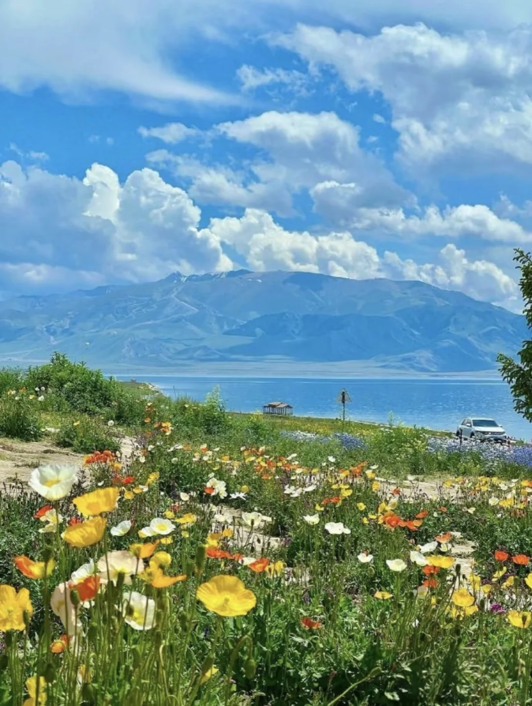 中国新疆喀纳斯+伊犁，神的自留地