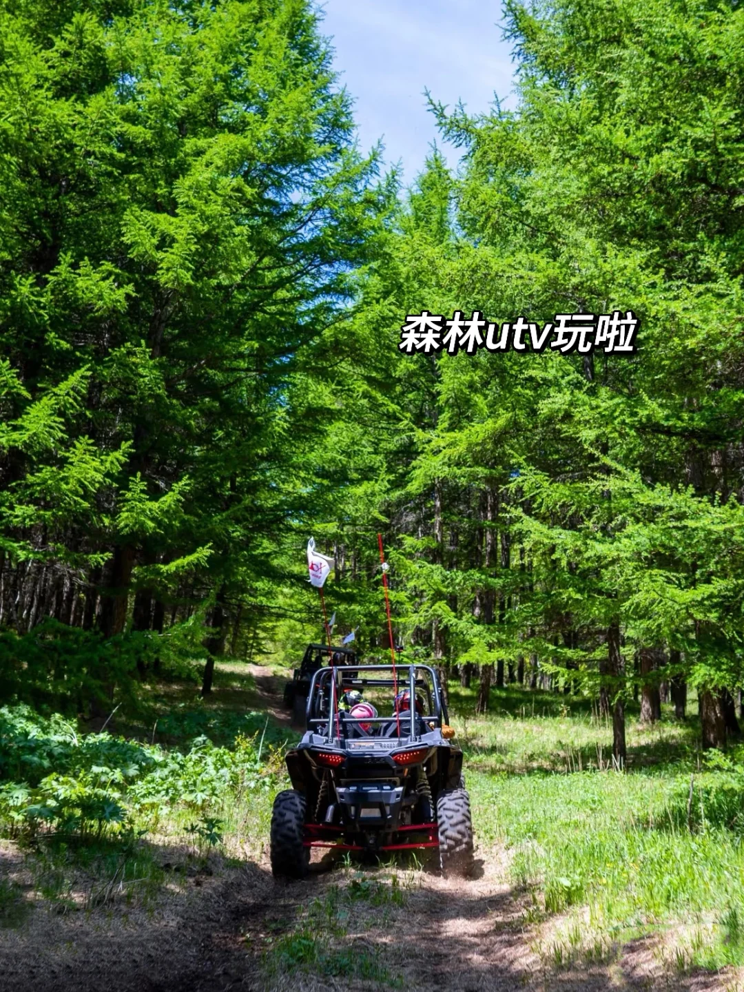 吉林亲子游6天5晚不走回头路‼（️ 附详细攻略