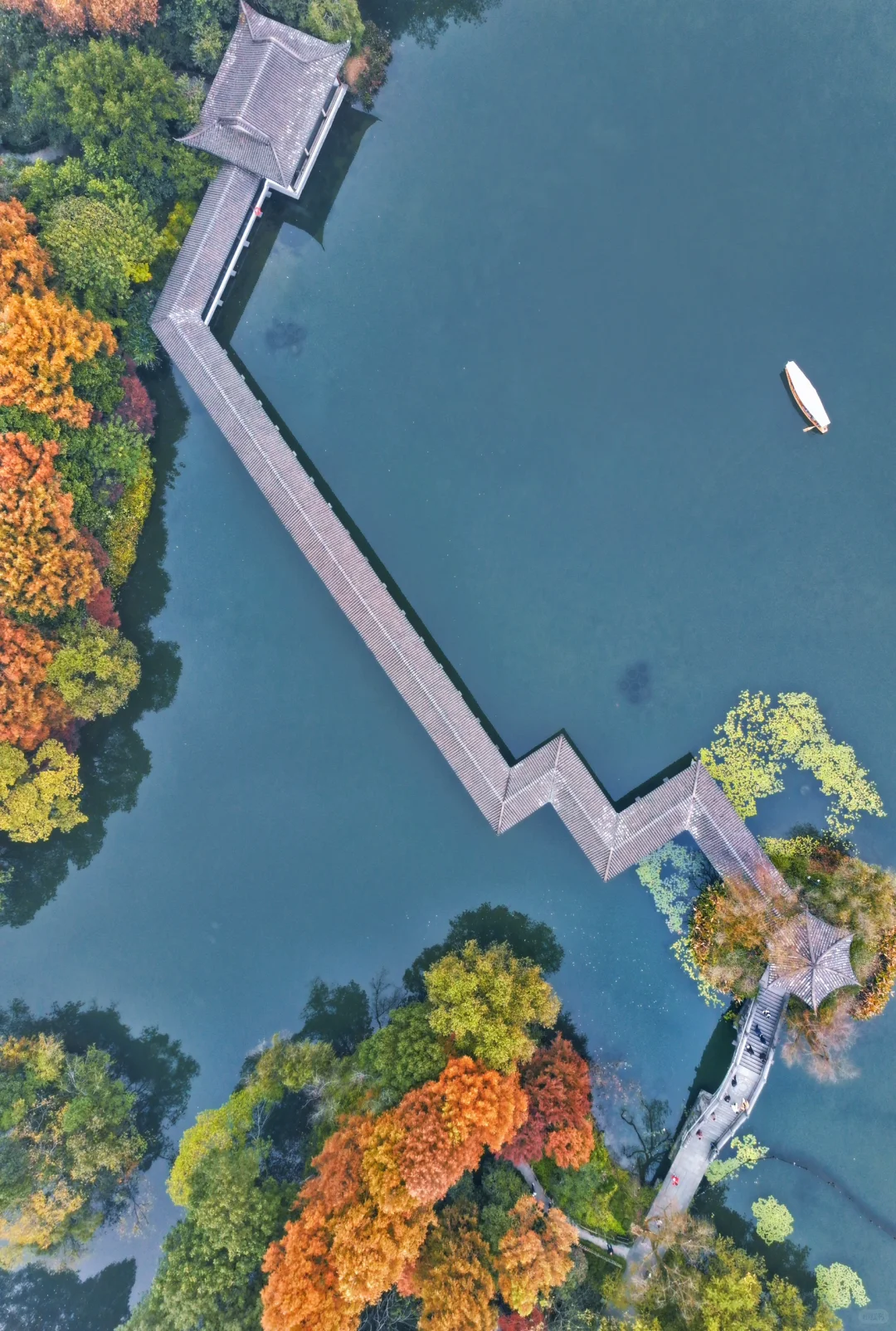 Summer & Autumn 浴鹄湾