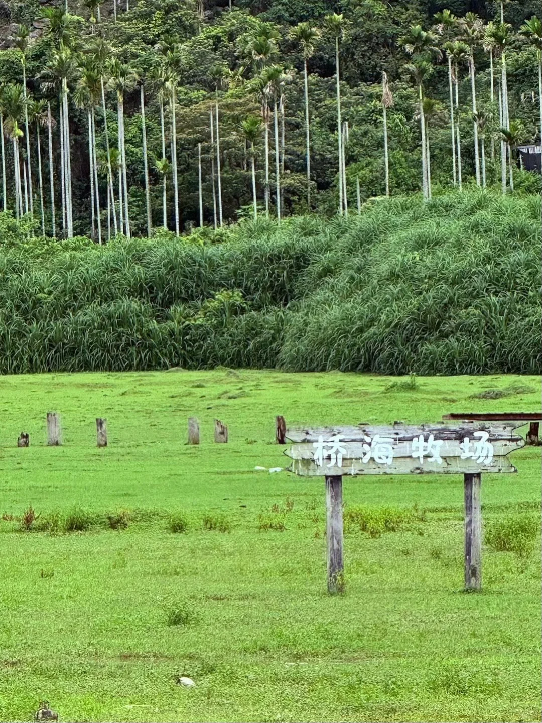 本地人真心话 写给6月端午要来万宁的姐妹