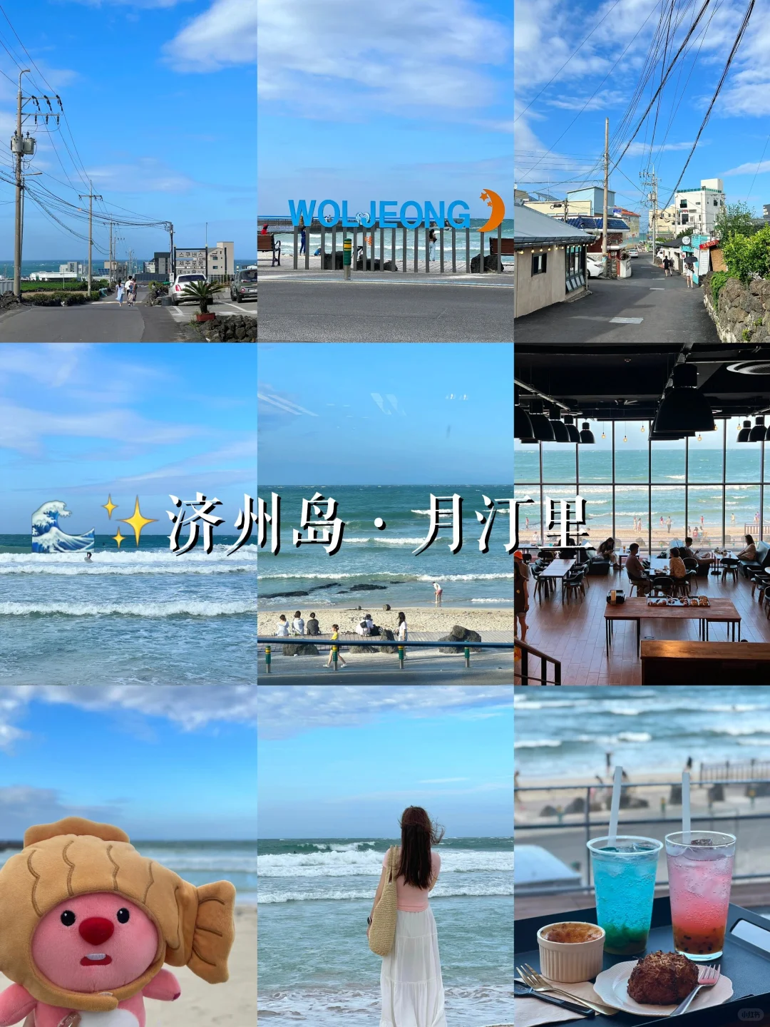 总统同款治愈力！济州岛网红打卡全攻略！