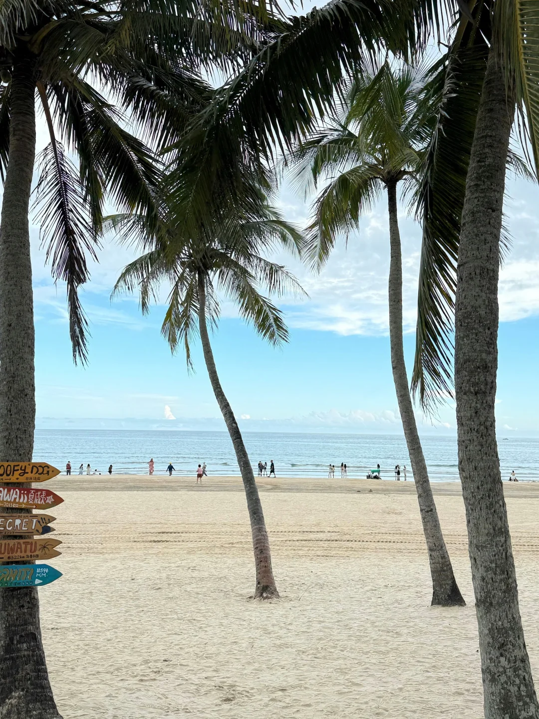 本地人真心话 写给6月端午要来万宁的姐妹